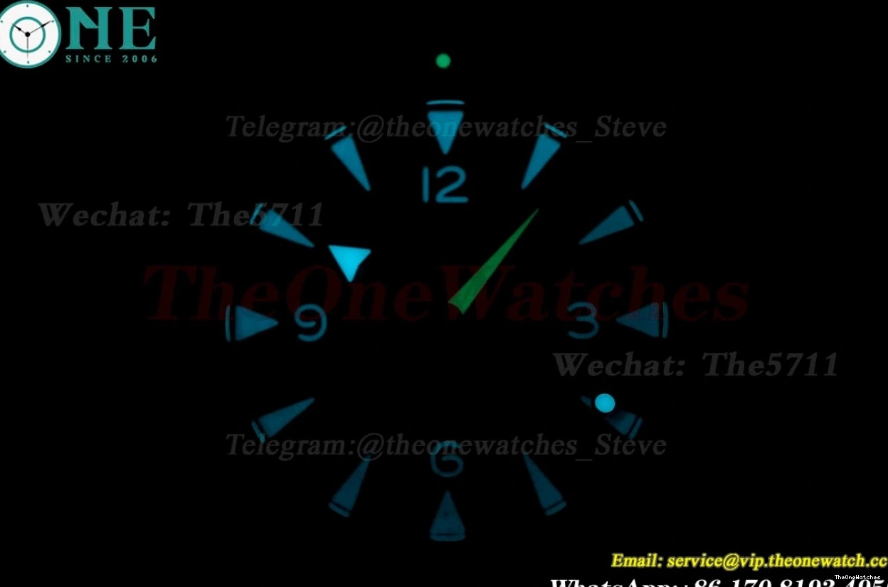 SS A8912 41mm SS 300m Date Dial No Seamaster Black VSF 1228